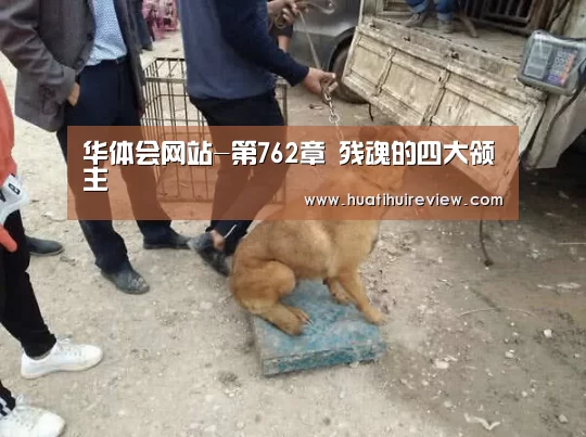 华体会网站官网