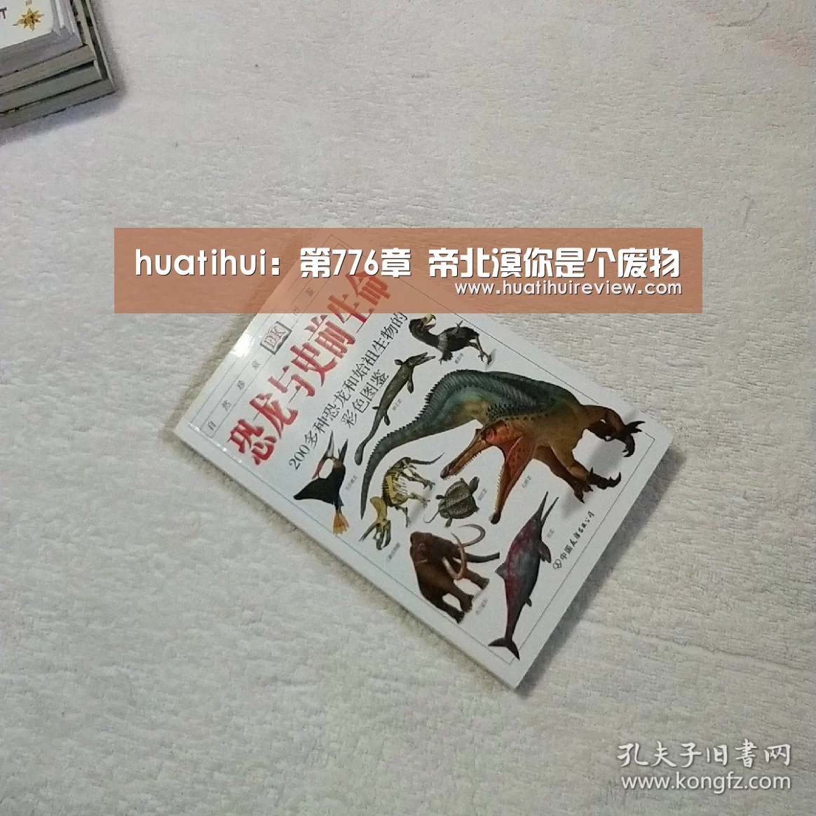 华体会网站官网