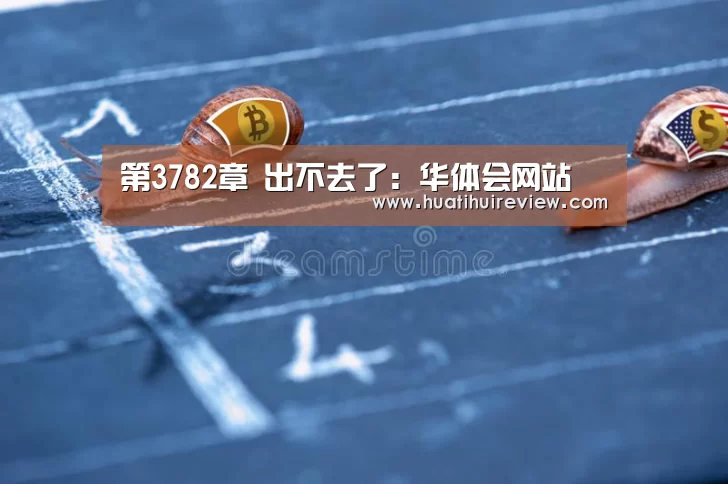 华体会网站