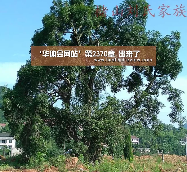 华体会网站